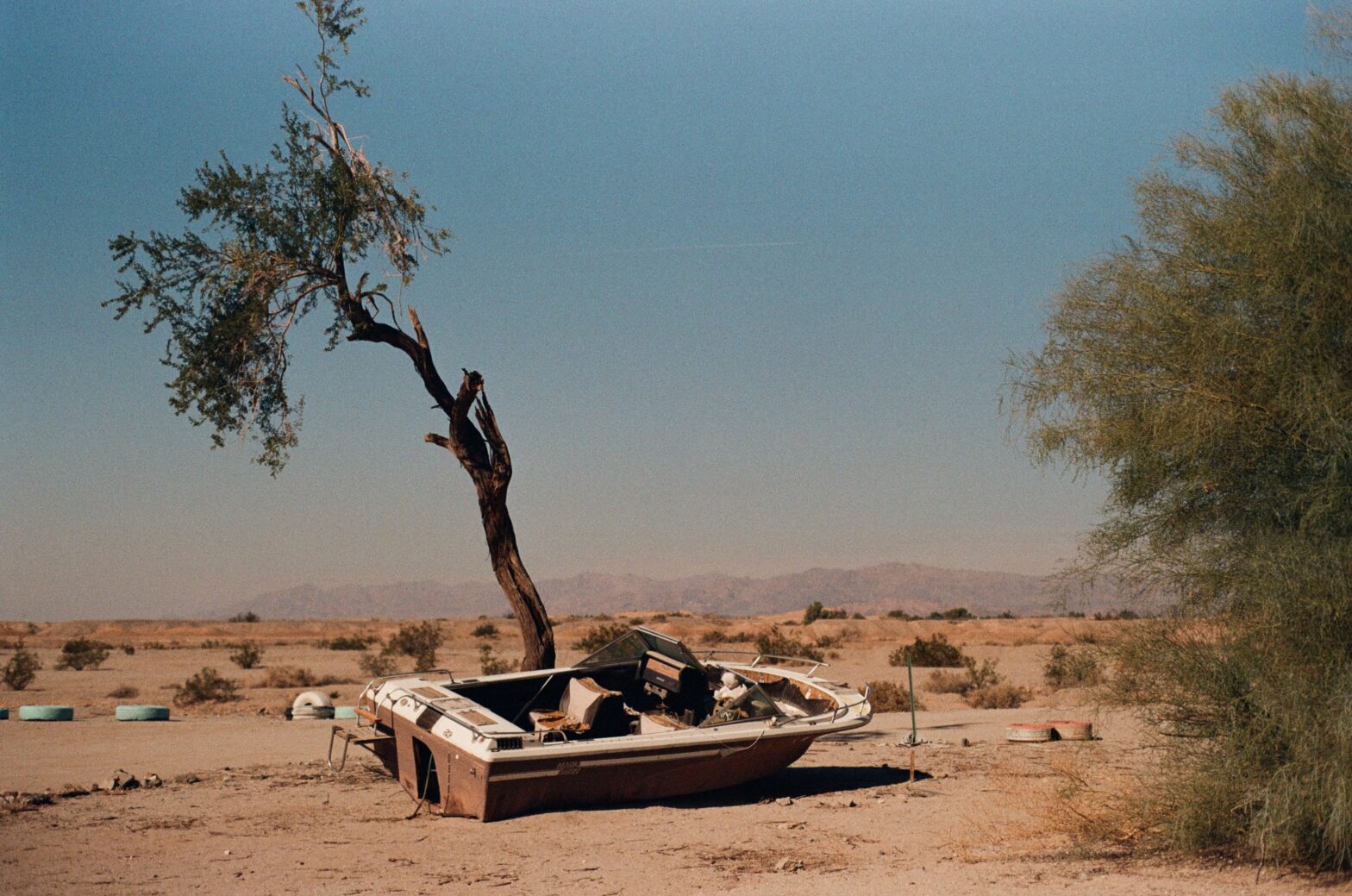 Ein altes Boot liegt vor einem Baum mitten in der Wüste im Sand